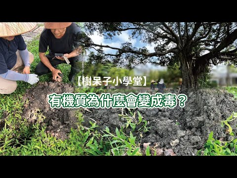 【樹呆子小學堂】有機質為什麼會變成毒？！ #土壤診斷 #有機質 #厭氧