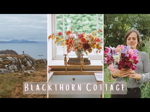 September at Blackthorn Cottage | Sowing Sweet Peas, Autumnal Flowers & Garden Life #2