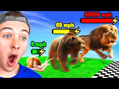 BECKBROS React To FASTEST ANIMALS SPEED COMPARISON!