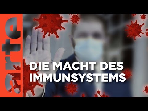 Unser Immunsystem - Wächter der Gesundheit | Doku HD Reupload | ARTE