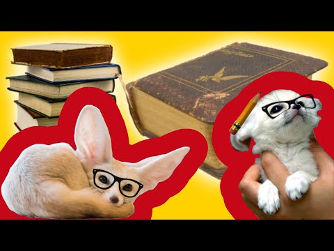 Fennec Fox Certification Trailer