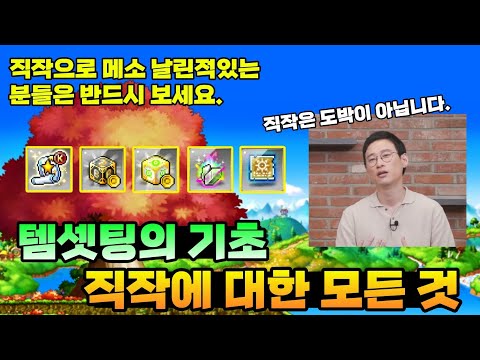 템셋팅, 직작하는법 모르면 반드시 망합니다. (메이플 직작 강의)