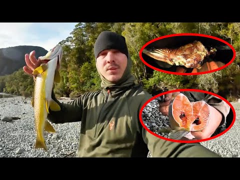 To Win $500,000,The Man Roasted A Red-Tailed Possum And A Golden Fish In The Wilderness For His Meal