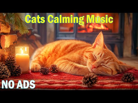 12 Hours of Calming Music for Cats💖Stress-Reducing Music for Cat💖Music to Help Cats Reduce Anxiety