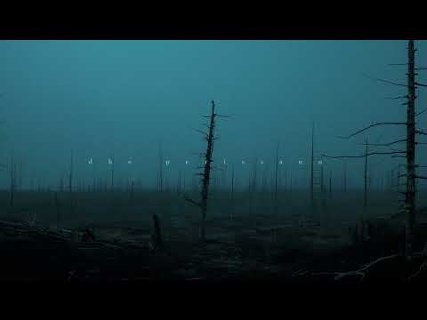 Hans Zimmer, Max Richter and Ludovico Einaudi Collections III