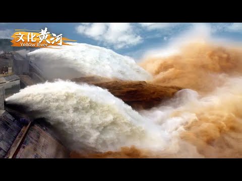 第73集：气势磅礴！近距离欣赏“黄河之水天上来”的壮美奇观，探访黄河不再断流的秘密——黄河之上 济水之源 【天下黄河】| 文化黄河 Yellow River