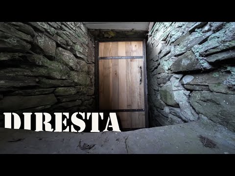 DiResta Basement Door Rebuild: 200+ Year Old Farmhouse