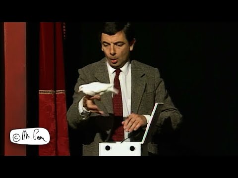 Mr Bean Ruins The Magic Show | Mr Bean Live Action | Funny Clips | Mr Bean
