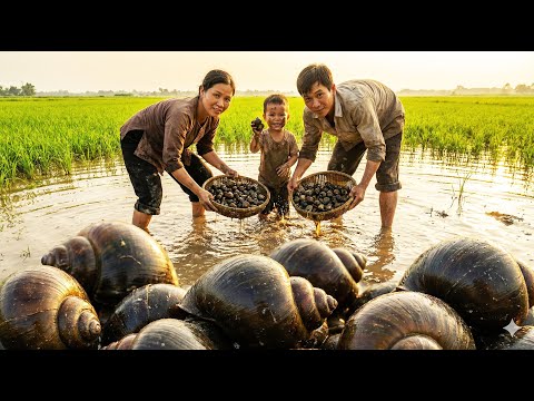 Harvesting Big Field Snails, Market Life & Farm Fence Repair