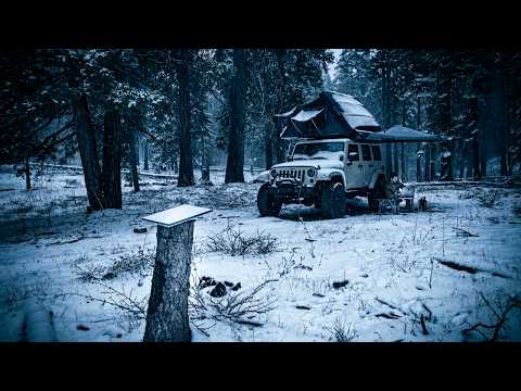 Starlink Mini ESSENTIAL Remote Work Setup for Solo Travelers