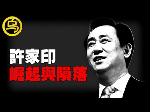 数次登顶中国首富，巅峰时身价3000亿，却害得数百万家庭支离破碎，赌徒许家印的崛起和陨落！一小时中间无广告合集 [She's Xiaowu 小乌]