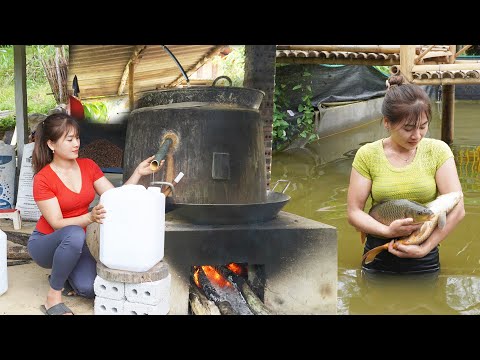 CEO Girl Learned the Formula Make Handmade Wine from Wild Coconut Tree Trunks - Harvest Fish