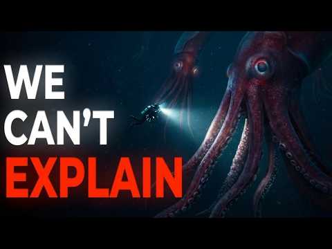 Beyond The Deep Sea: The Insane Reality of Giant Squids
