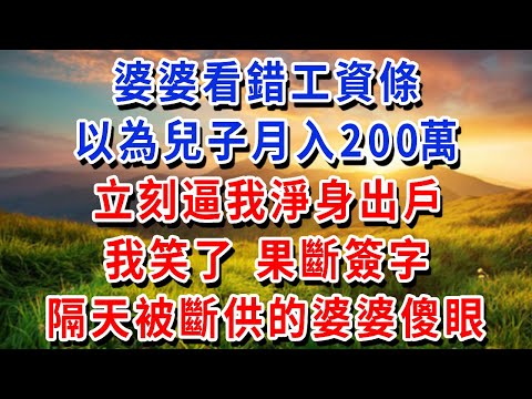 婆婆看錯工資條，以為兒子月入200萬，立刻逼我淨身出戶，我笑了 果斷簽字，隔天被斷供的婆婆傻眼！#書婷講故事 #為人處世#生活經驗#情感故事#晚年哲理#說故事#完結文
