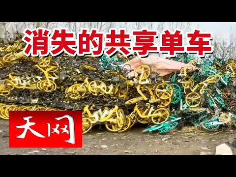 《天网》包吃包住雇“帮手” 上海上万辆共享单车不翼而飞 背后黑手令人震惊 20240618