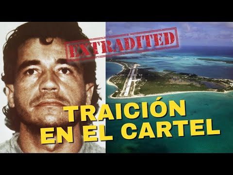 Carlos Lehder: Cayó por Traición | Historia Real 