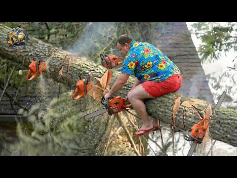 Idiots With Chainsaws: Tree Cutting Fails | Extreme Dangerous Logging Truck Fails #16
