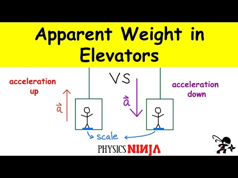Calculating the Apparent Weight in an Elevator