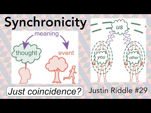 #29 - Synchronicity: your mind is entangled with the world
