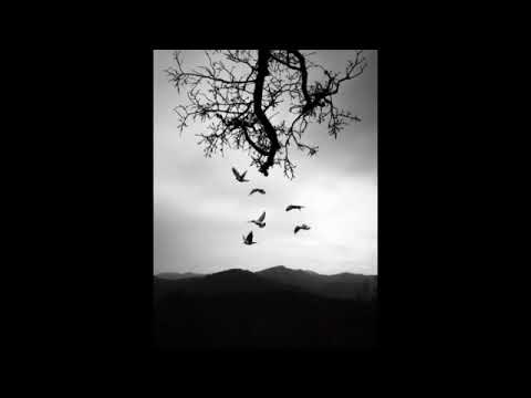 Chris Staropoli ft.  Melanie S - What I Feel (Pulls No Drum Mix)