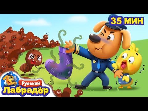 🐜С муравьями шутки плохи | 🪼Безопасность для детей | 🐝Популярный сборник мультиков | Шериф Лабрадор
