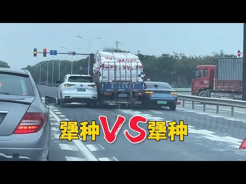 犟种VS犟种，好一对卧龙凤雏！