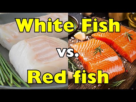 White Fish vs Red Fish: Which One Should You Eat?