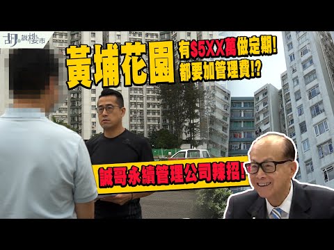 ⚠️管理亂象之二⚠️黃埔花園居民不滿加管理費，控訴帳目不清❗️揭誠哥永續管理公司辣招❗️｜調查報道｜胡‧說樓市