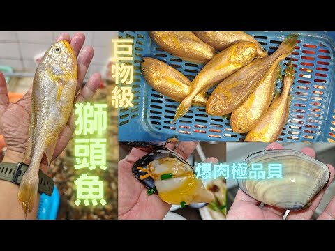 難得一見,巨型獅頭魚😍搵左10年,超甜爆肉蝴蝶貝,我覺得係最好食的貝類👍重有巨型半斤級貴妃蚌❗fishcutting海鮮~社長遊街市Seafood