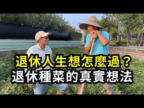 How should one spend their retirement? A retired teacher's dream of buying land and farming has c...