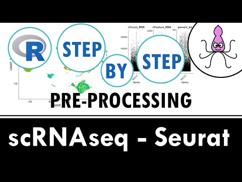 Standard scRNAseq preprocessing workflow with Seurat | Beginner R