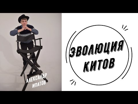 Эволюция Китов  | Александр Ипатов