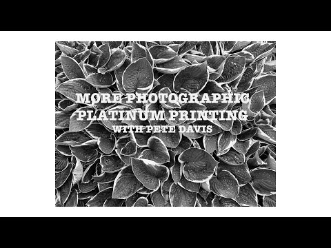 More photographic Platinum Printing