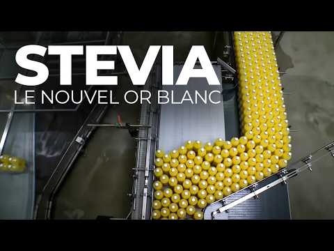 Light, zéro, naturel : la grande illusion du sucre