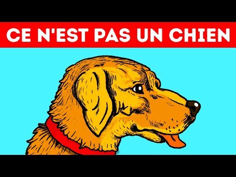 11 Illusions D’optique Qui Vont te Piéger