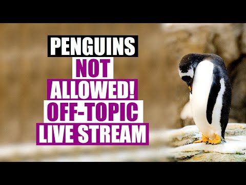 The Off-Topic Live Stream (No Linux Allowed!) - DT LIVE