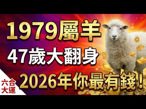 1979年屬羊人，47歲「吉羊生財」！2026年最有錢的就是你！#1979年屬羊 #屬羊 #生肖羊 #2026年屬羊運勢 #2026生肖羊運勢 #生肖羊運程 #財運 #偏財運 #屬羊運勢 #1979羊