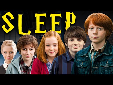 The ENTIRE Story of Every Character After Harry Potter To Fall Asleep To