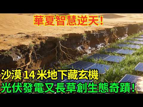 沙漠地下14米藏玄機！中國光伏板下種出綠色奇跡，板上發電板下長草#科普#國際觀點#熱門#生態修複#沙漠
