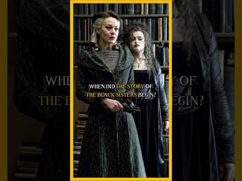 Sisters of House Black - The Origins ♟️ #shorts