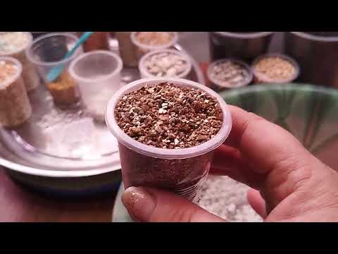 ,,Грунт для суккулентов" - мой опыт.