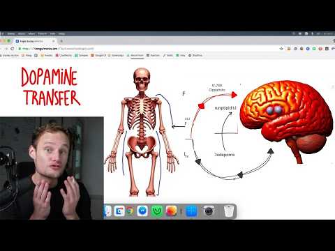 "Dopamine Transfer" is The Fastest Path To Millionaire in 2025