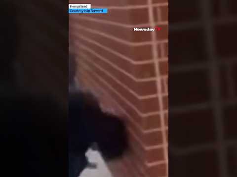 Video of ICE takedown shows Long Island man hitting head against brick wall #newyork #immigration