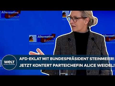 DEUTSCHLAND: AfD-Eklat mit Bundespräsident Steinmeier! Jetzt kontert Parteichefin Alice Weidel!