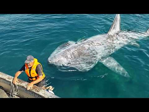 Most Incredible Incidents at Sea Caught on Camera