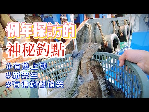 好消息!埗口試釣初步陽性,例年交手的神秘釣點有魚進駐!|為海大蝦餌的新竿攪試水—輕易開齋 #香港釣魚 #啊濤