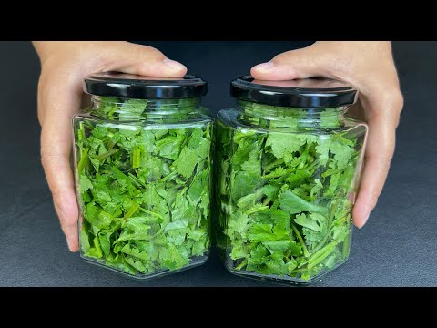 Cilantro Saving Tip Easy ❗😋 ✅ How to keep Coriander Fresh for long in Fridge 💯 Life Hacks ✅