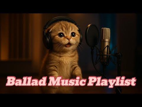 감성, 사랑, 위로가 담긴 발라드 Music Playlist