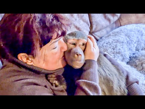 ЭТО ЖЕ СМЕХ! Люська обнимается с мамой, но с папы Влада просто ГЛАЗ НЕ СВОДИТ! 