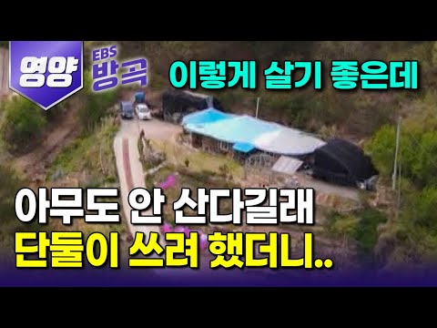 [경북 영양] "우리만 살긴 너무 아깝다" 귀농은 하고 싶은데, 땅 한 평 살 돈이 없어서 아무도 안 산다는 첩첩산중에 유일한 주민 된 부부｜정골｜#한국기행 #방방곡곡